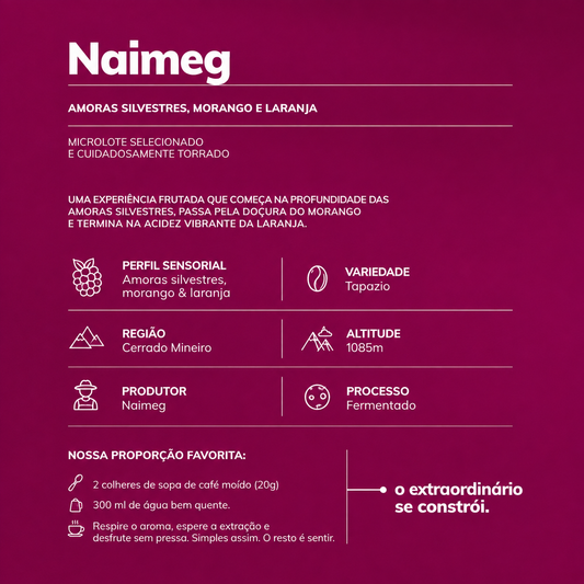 NANOLOTE EXCLUSIVO | NAIMEG