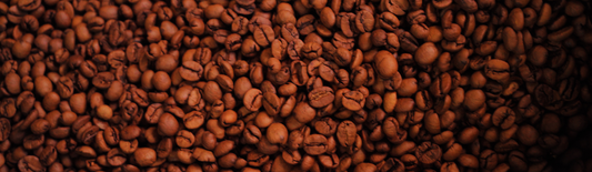 O que é café especial? Entenda por que ele é diferente do café tradicional