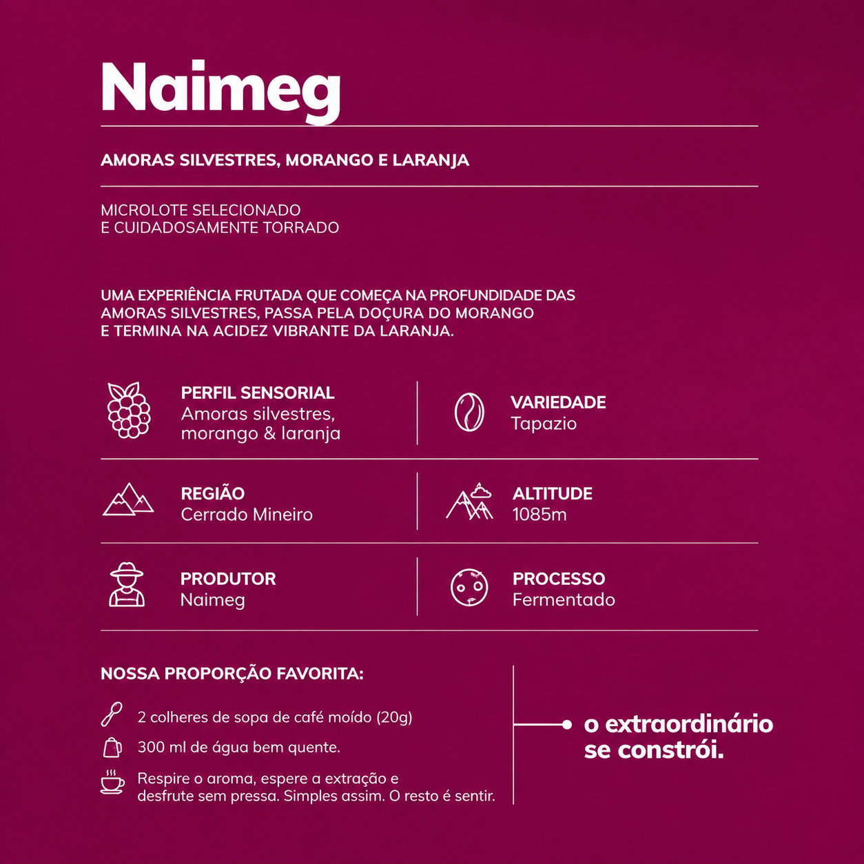 NANOLOTE EXCLUSIVO | NAIMEG