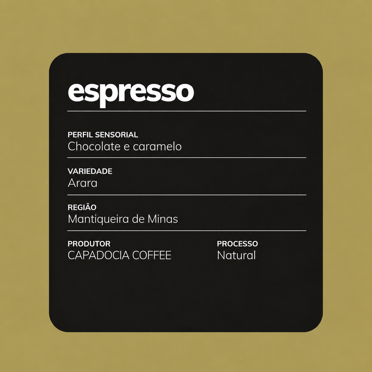 Café Especial - Espresso Chocolate e Caramelo